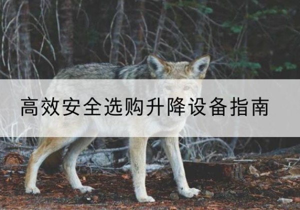 洪山升降货梯厂家推荐-*安全选购升降设备指南