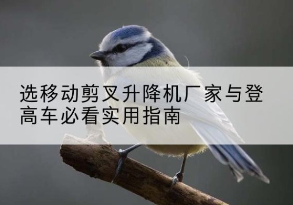 洪山电动升降机厂家-选移动剪叉升降机厂家与登高车必看实用指南